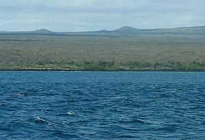 Lonesome countryside, far far from the beaten track, out on the isolated end of Santa Cruz, in the Galapagos Islands.
